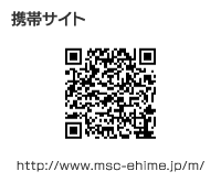携帯サイト